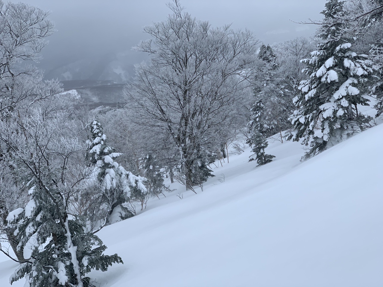 北八甲田山 銅像コース 21 02 19 Ryoryominminさんの八甲田山 高田大岳 雛岳の活動データ Yamap ヤマップ