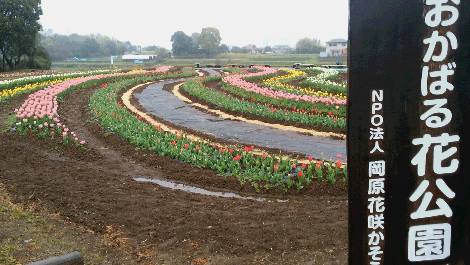 雨の大分スポーツ公園 おかばる市民花公園ウォーキング Masaさんの大分市の活動日記 Yamap ヤマップ