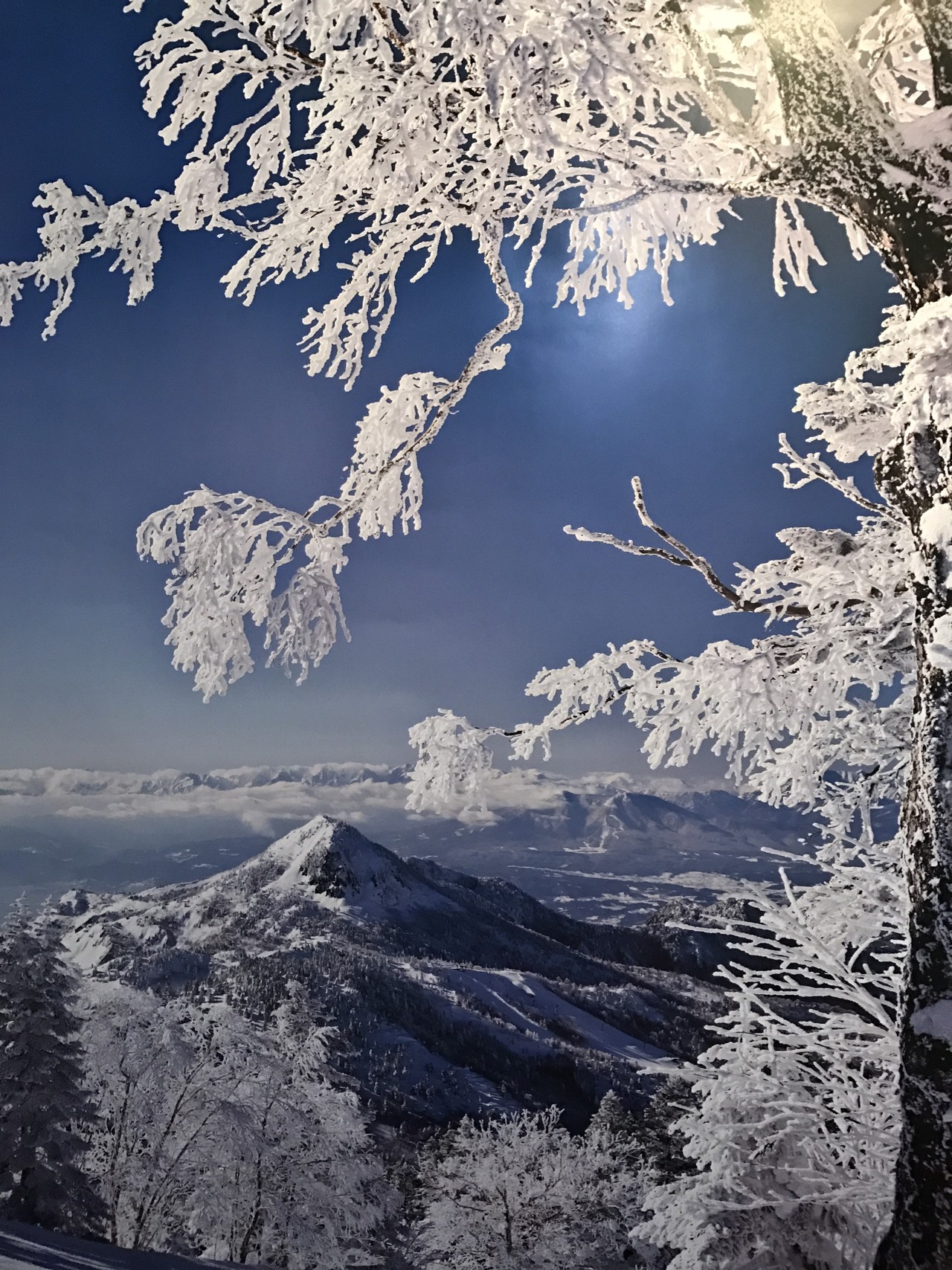 第16回in志賀高原スキー場 善光寺 上田城千本桜まつり マッピー3さんの草津白根山 湯釜の活動日記 Yamap ヤマップ