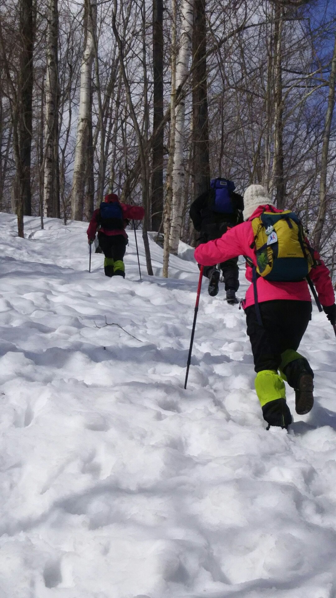 盤渓山ツボ足ズボ ズボ よっちさんの砥石山 北海道 の活動日記 Yamap ヤマップ