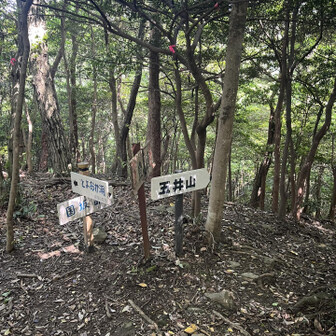 五井山・宮路山・御堂山 まずは五井山へ