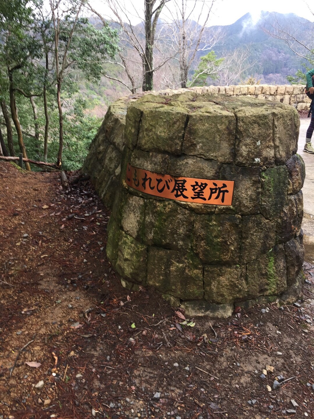 箕面 お花見 こもれびの森から勝尾寺園地へ 六個山 鉢伏山 明ヶ田尾山 五月山の写真7枚目 こもれび展望台 ここからビジターセンター Yamap ヤマップ