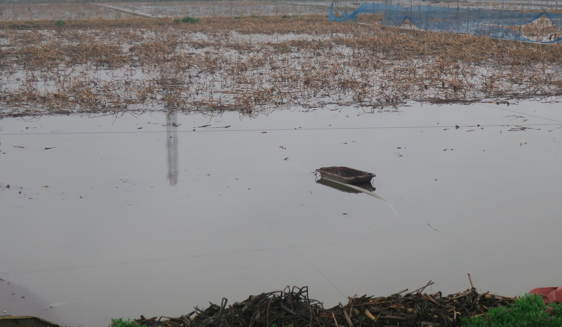 ノルディックウオーキング トレイル日記 霞ヶ浦周回 高嶺さんの霞ヶ浦の活動日記 Yamap ヤマップ