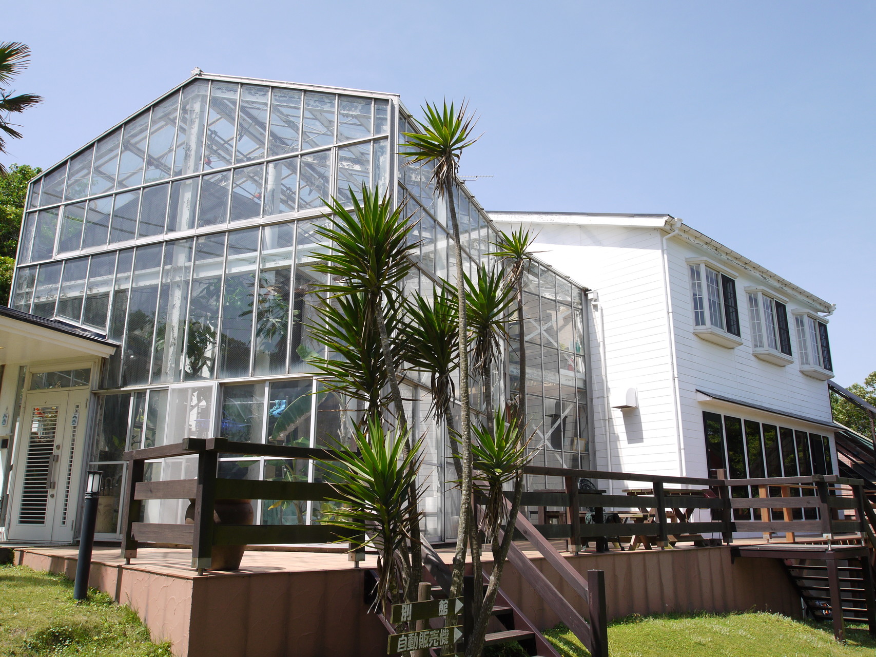 伊豆下田 学生時代の仲間たちと下田観光 白色y星人さんの天城山 鉢ノ山 三筋山の活動データ Yamap ヤマップ