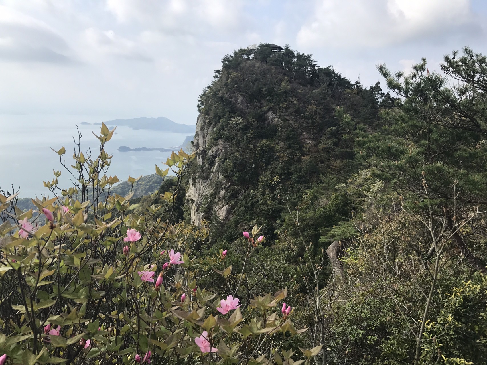 白嶽のミツバツツジ 熊本県上天草市 ゆりさんの上島 天草諸島 太郎丸嶽 次郎丸嶽の活動データ Yamap ヤマップ