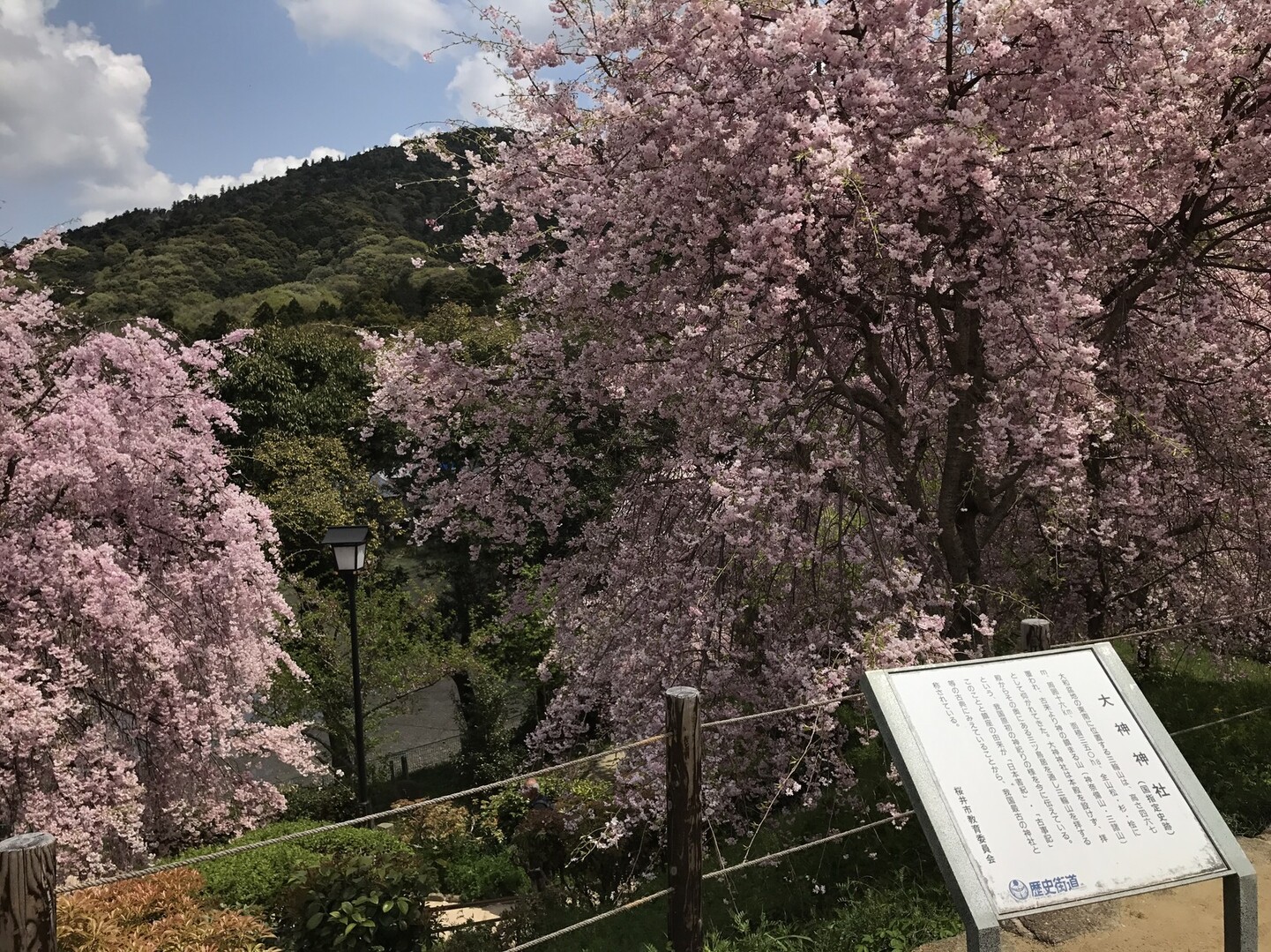 今日は 山登りでは無く 登拝 とうはい に三輪山へ アラちちさんの三輪山 巻向山 龍王山の活動日記 Yamap ヤマップ