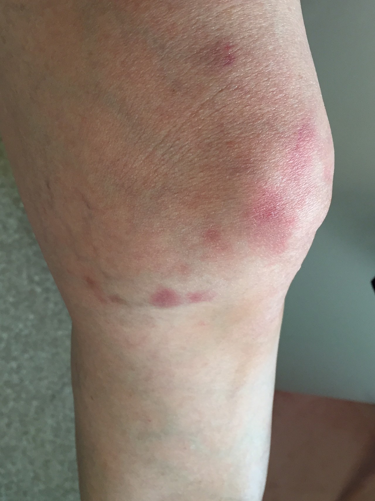 初めての岩トレ 永楽ダムの熊岩 Tカモミールさんの槇尾山 槙尾山 和泉葛城山 神於山の活動日記 Yamap ヤマップ