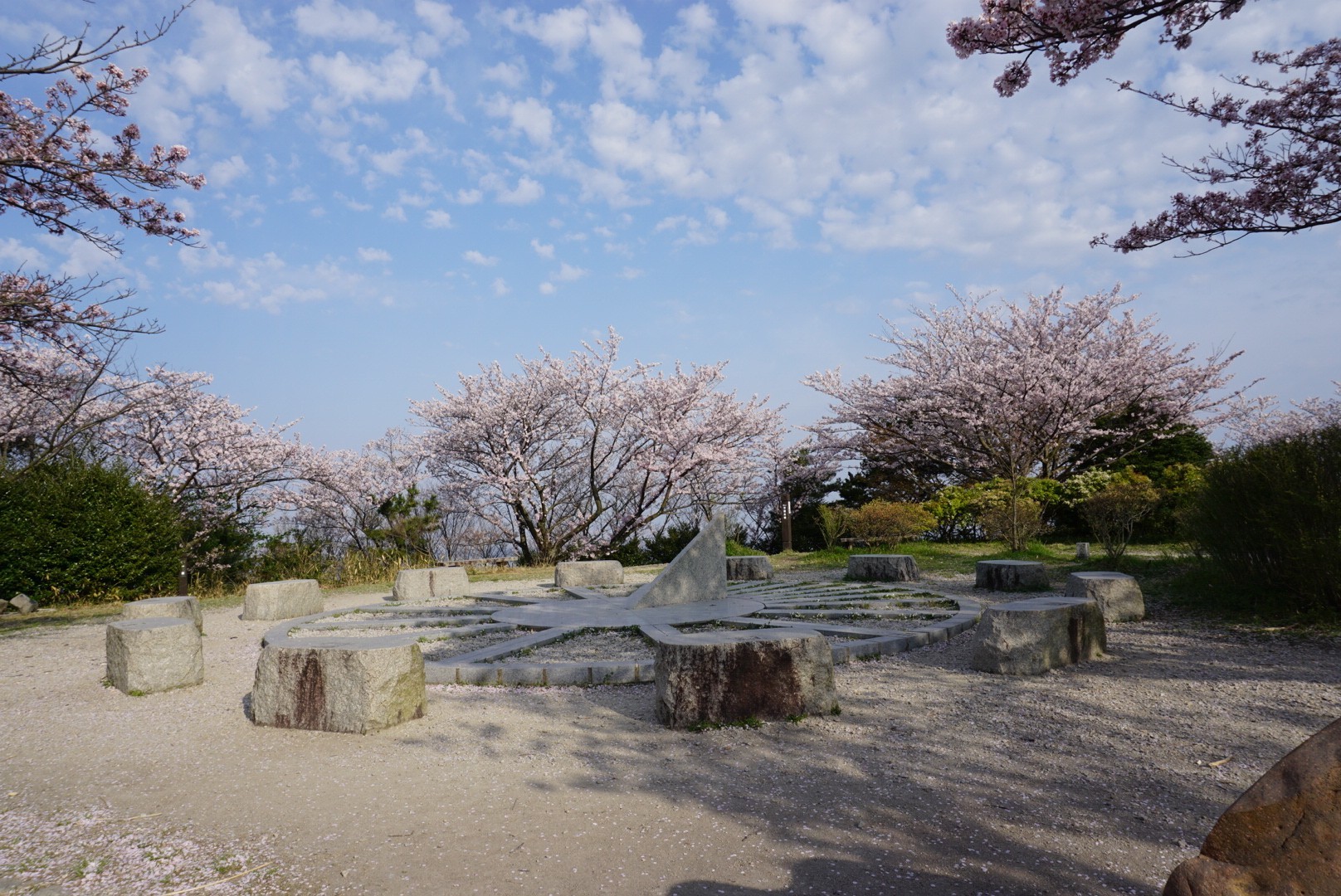 二上山 桜 散歩 まーぼーさんの金剛山 二上山 大和葛城山の活動データ Yamap ヤマップ