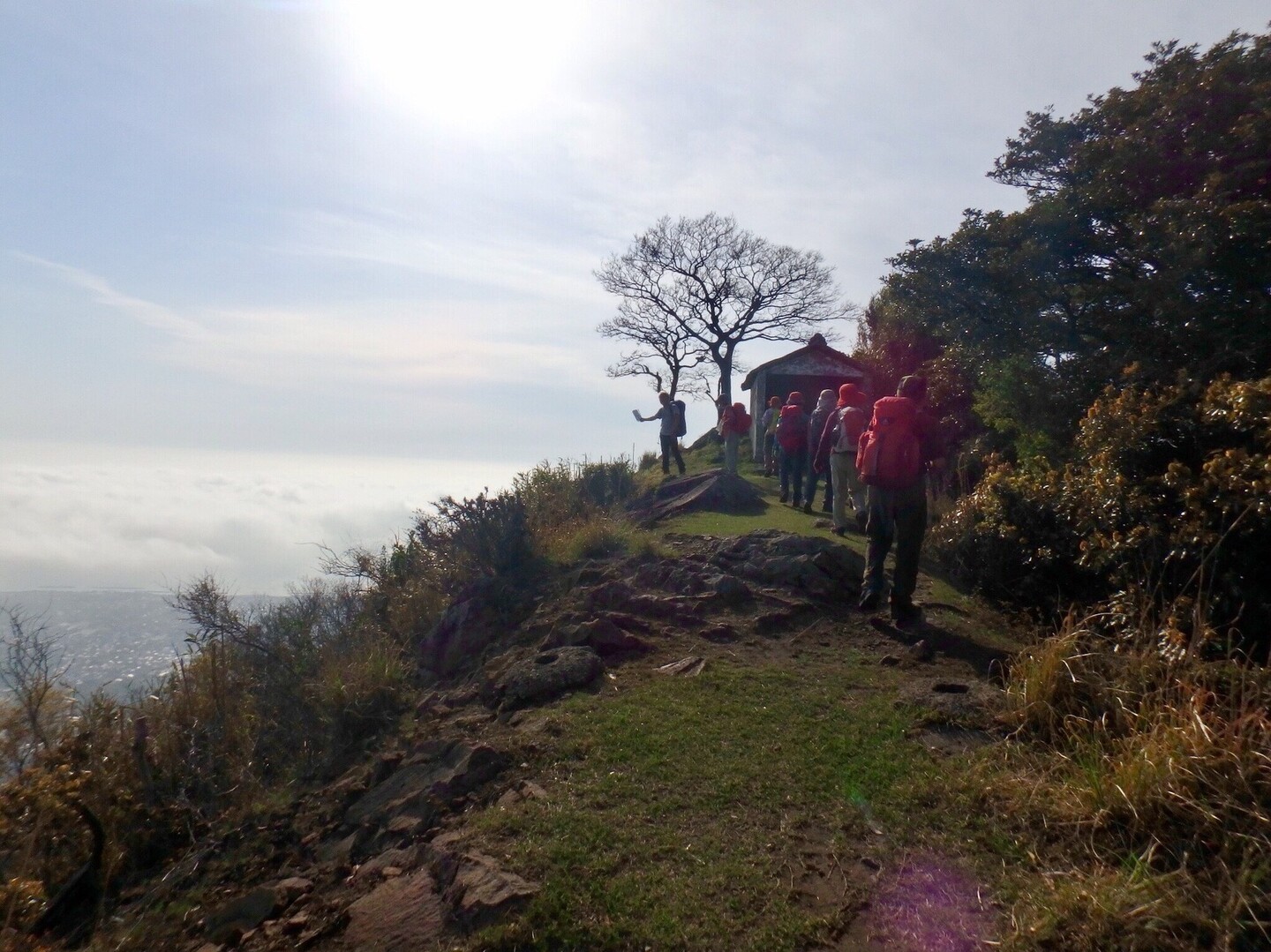 出雲北山 旅伏山～鼻高山～弥山 縦走 / むーさんの鼻高山・弥山・旅伏山の活動データ | YAMAP / ヤマップ