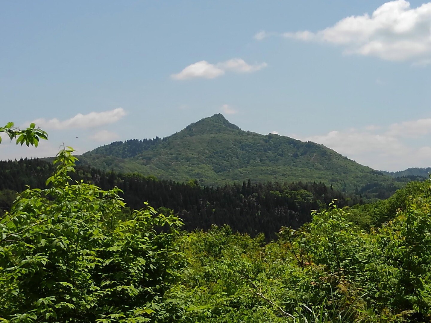 gkcnさんの阿賀町の活動データ YAMAP / ヤマップ