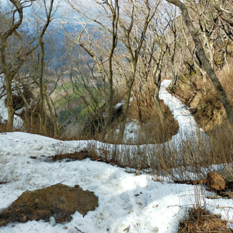 霊山 雪❄の道
