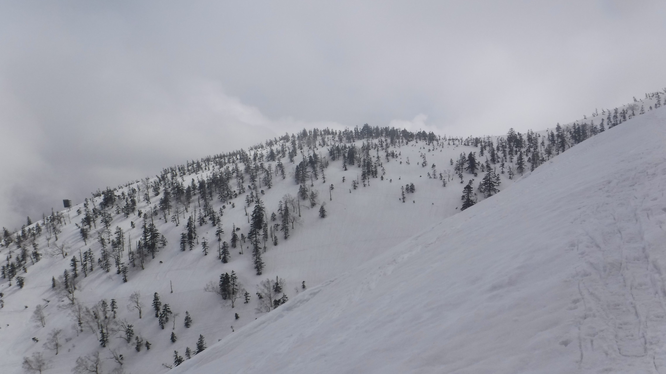 一番やさしいバックカントリー循環ルート 春 夏スキーだいすきーさんのかぐらスキー場の活動データ Yamap ヤマップ
