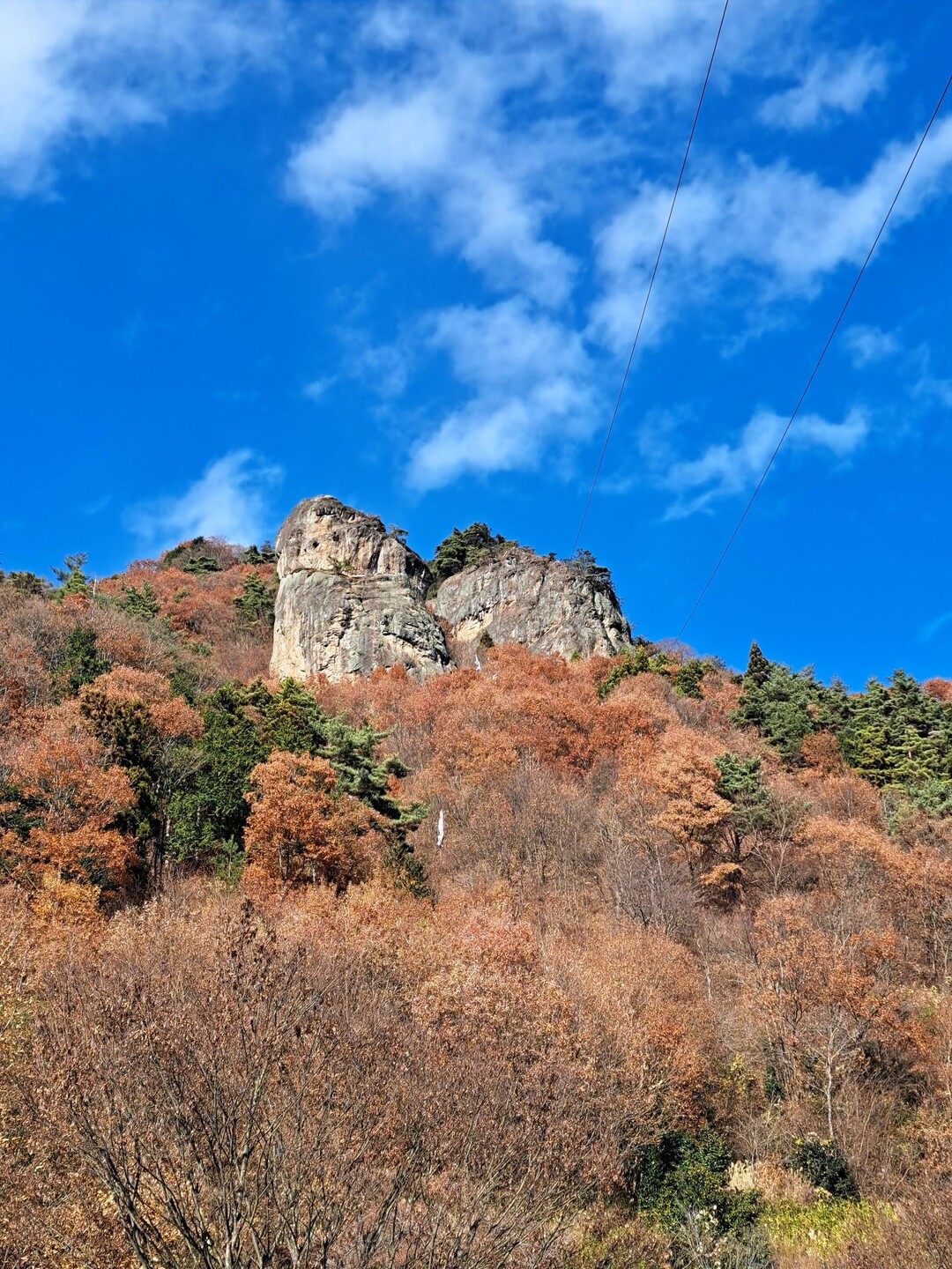 嵩山 / ナノなおさんの嵩山の活動データ YAMAP / ヤマップ