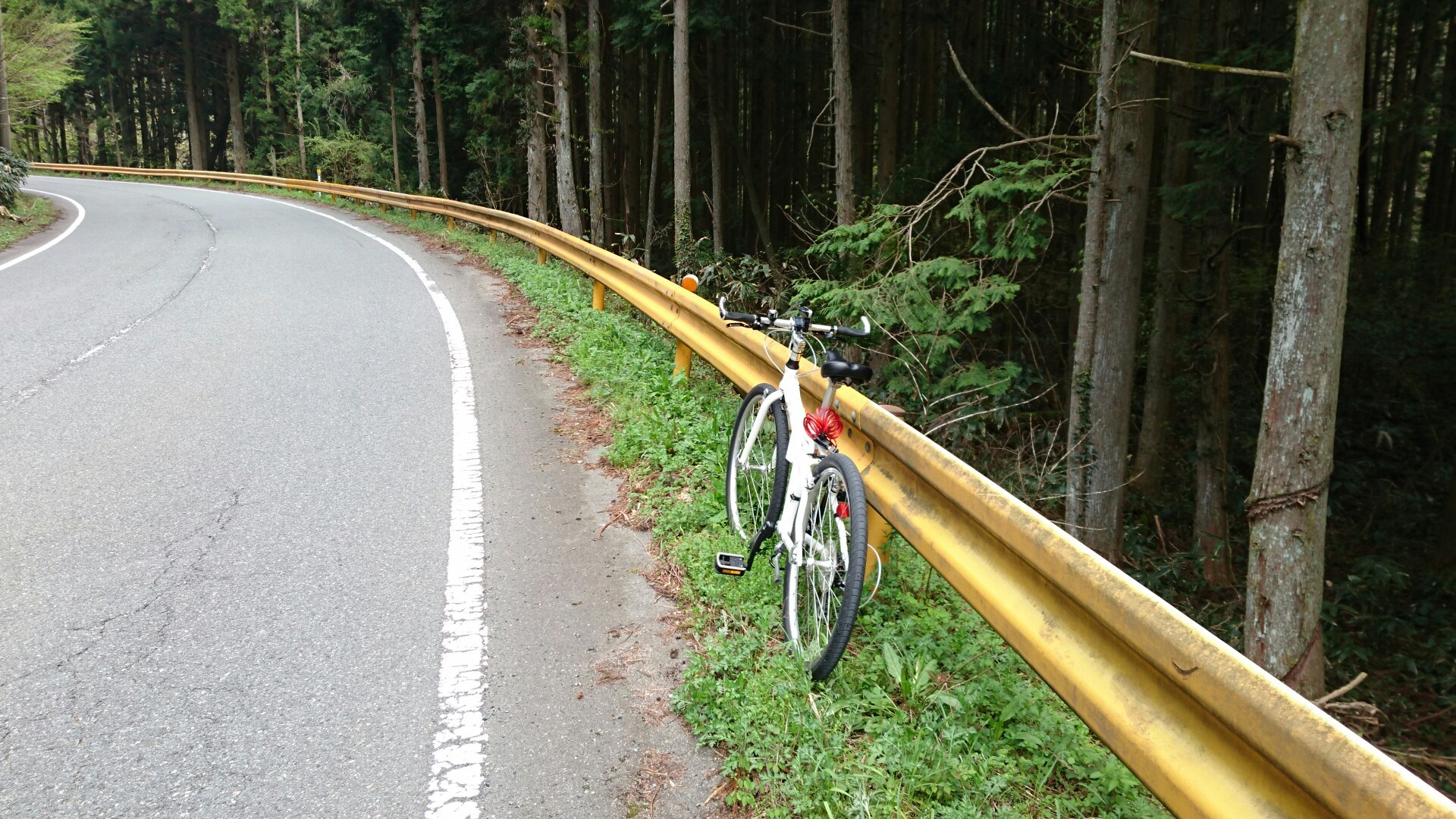 山口と島根の県境の仏峠と小峰峠越え ココアさんの莇ヶ岳 弟見山の活動日記 Yamap ヤマップ