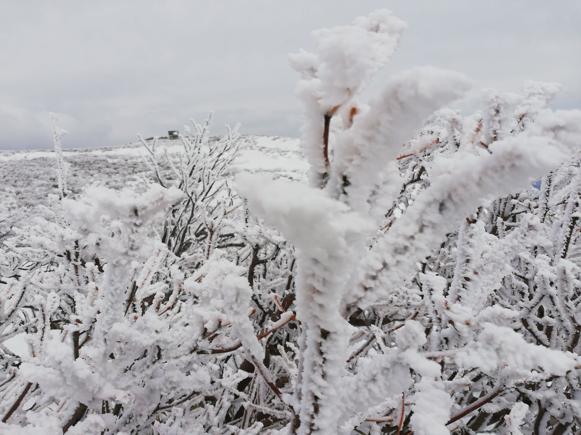 ピントが奥ですね