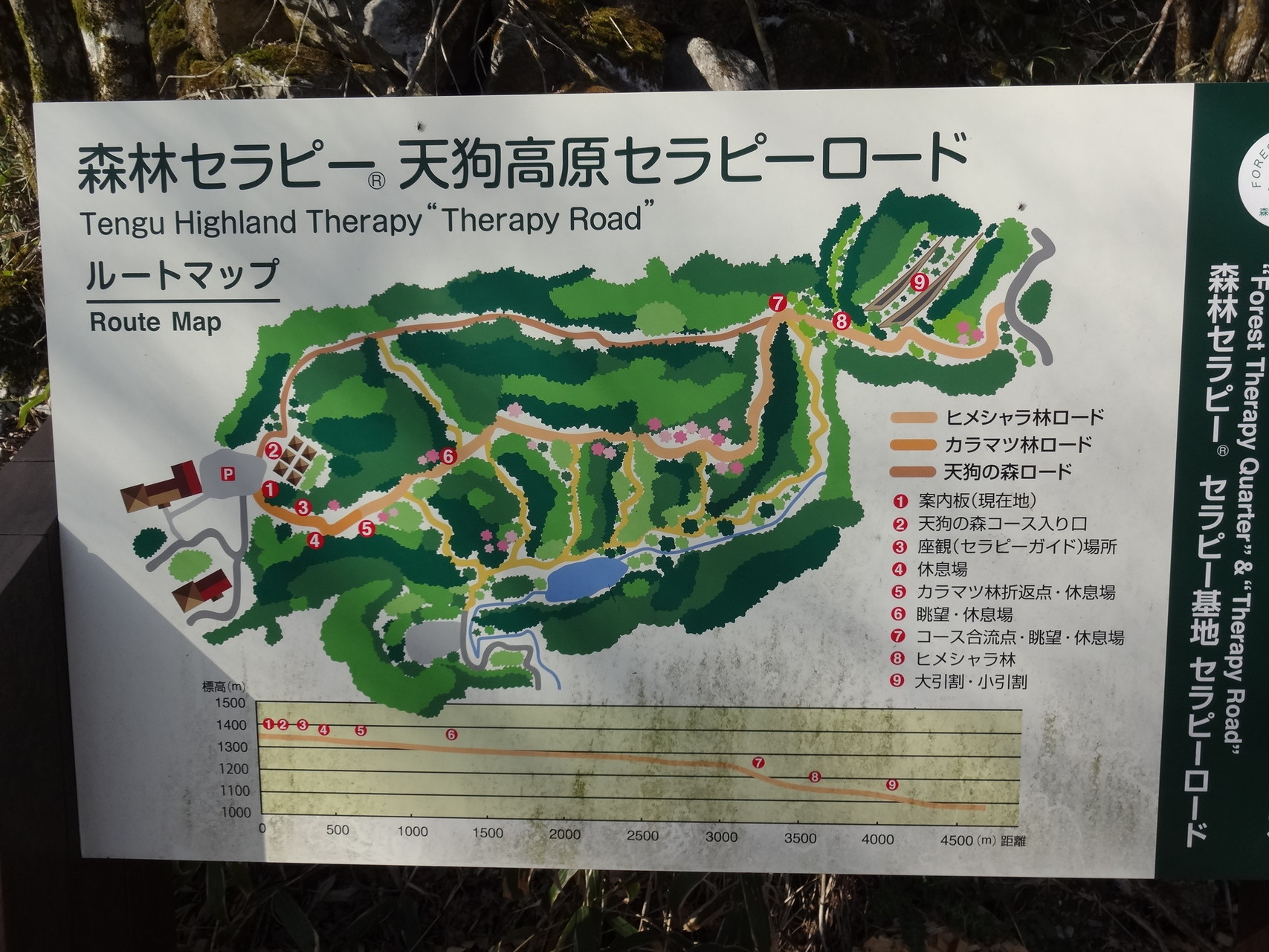 四国カルスト セラピーロード ひろにー さんの天狗ノ森 天狗高原 黒滝山の活動データ Yamap ヤマップ