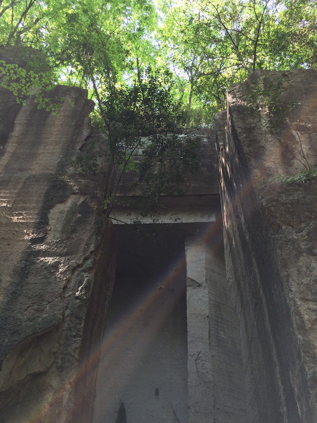 藪塚の石切り場跡 ラピュタ廃墟風 ピエッピさんの金山 新田金山 八王子丘陵の活動データ Yamap ヤマップ