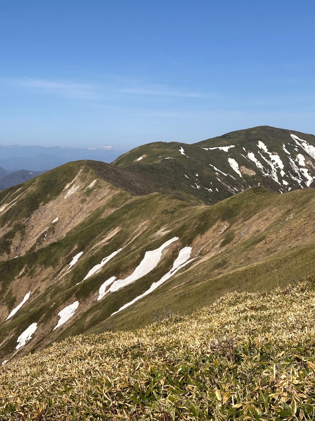 流石山・大倉山・三倉山