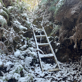 御伊勢山・雨乞山・相原山 歯朶藪の中に梯子あり。
