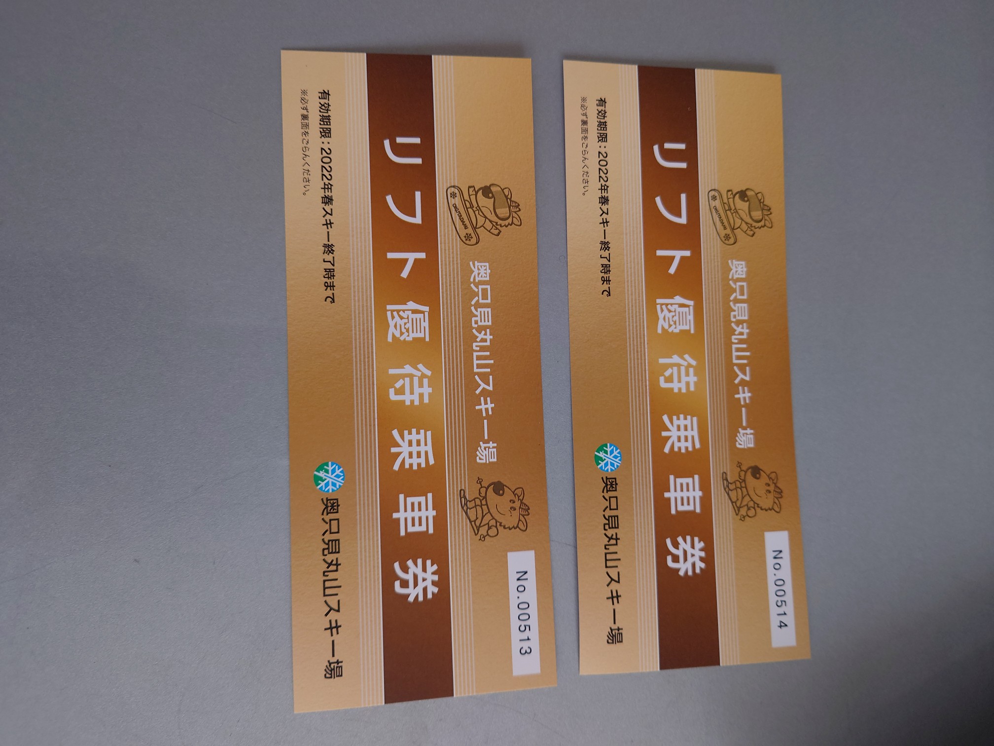 奥只見丸山スキー場リフト券2枚 奥只見丸山スキー場リフト券2枚 奥只見丸山スキー場-リフト料金