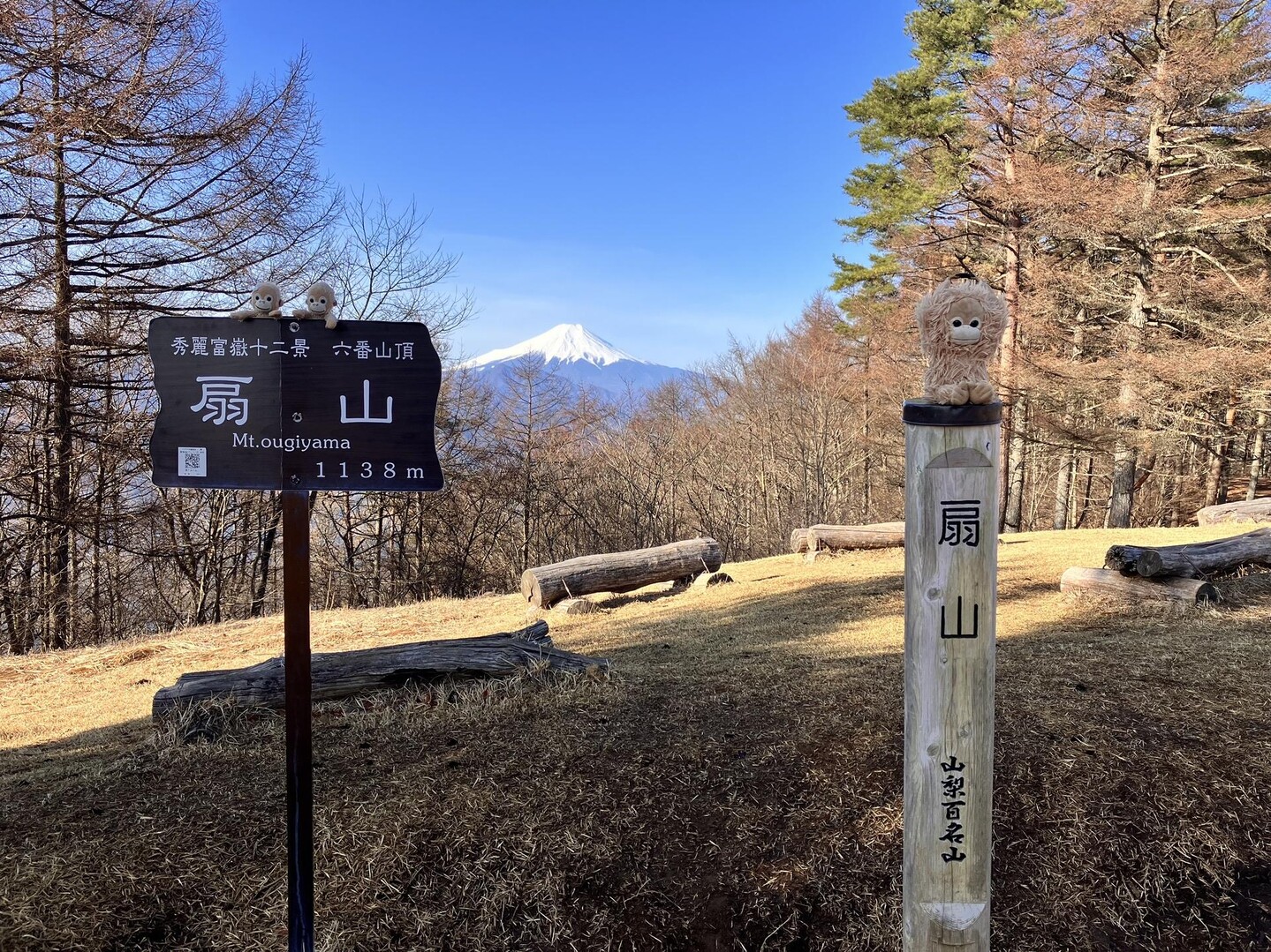 扇山・百蔵山（秀麗富嶽十二景） / ソウヤさんの百蔵山・扇山・権現山の活動データ | YAMAP / ヤマップ
