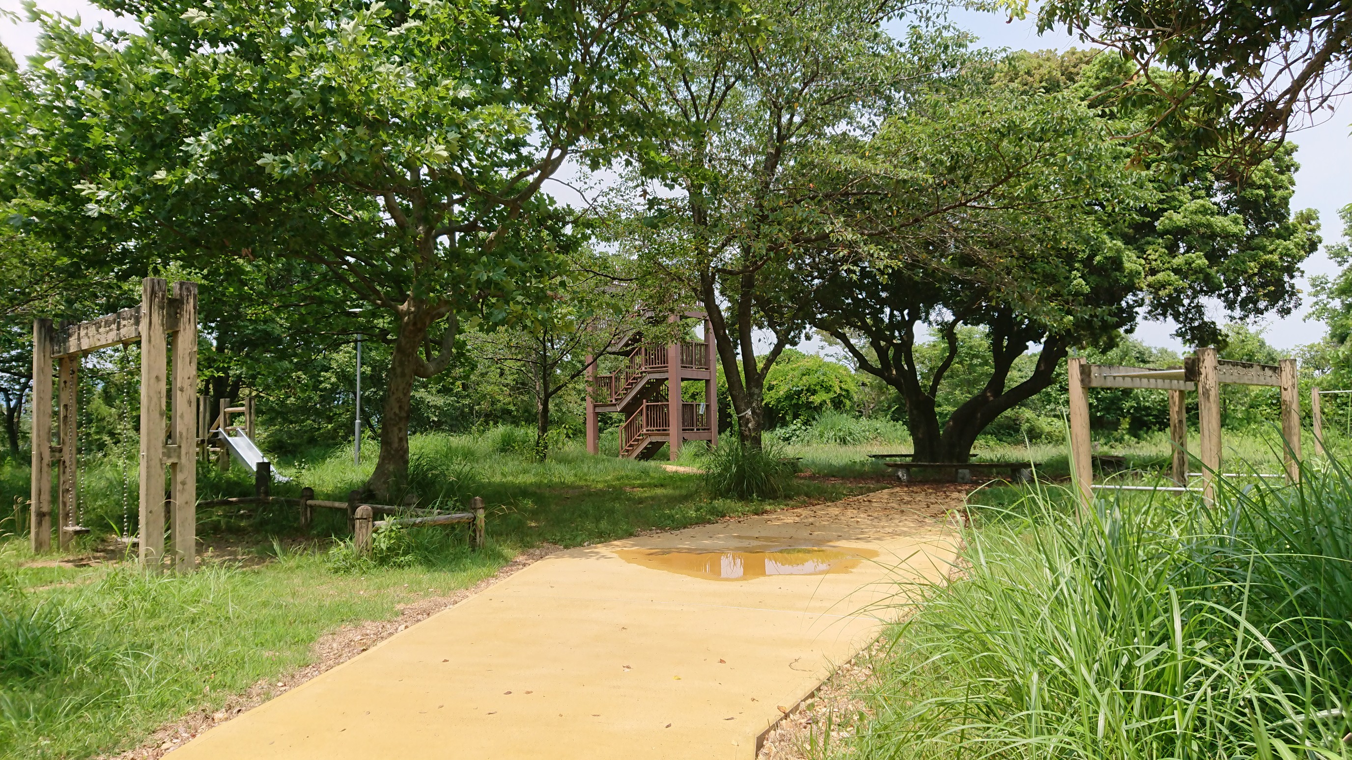 筆山 鷲尾山 寿さんの鷲尾山 皿ヶ峰 宇津野山の活動日記 Yamap ヤマップ