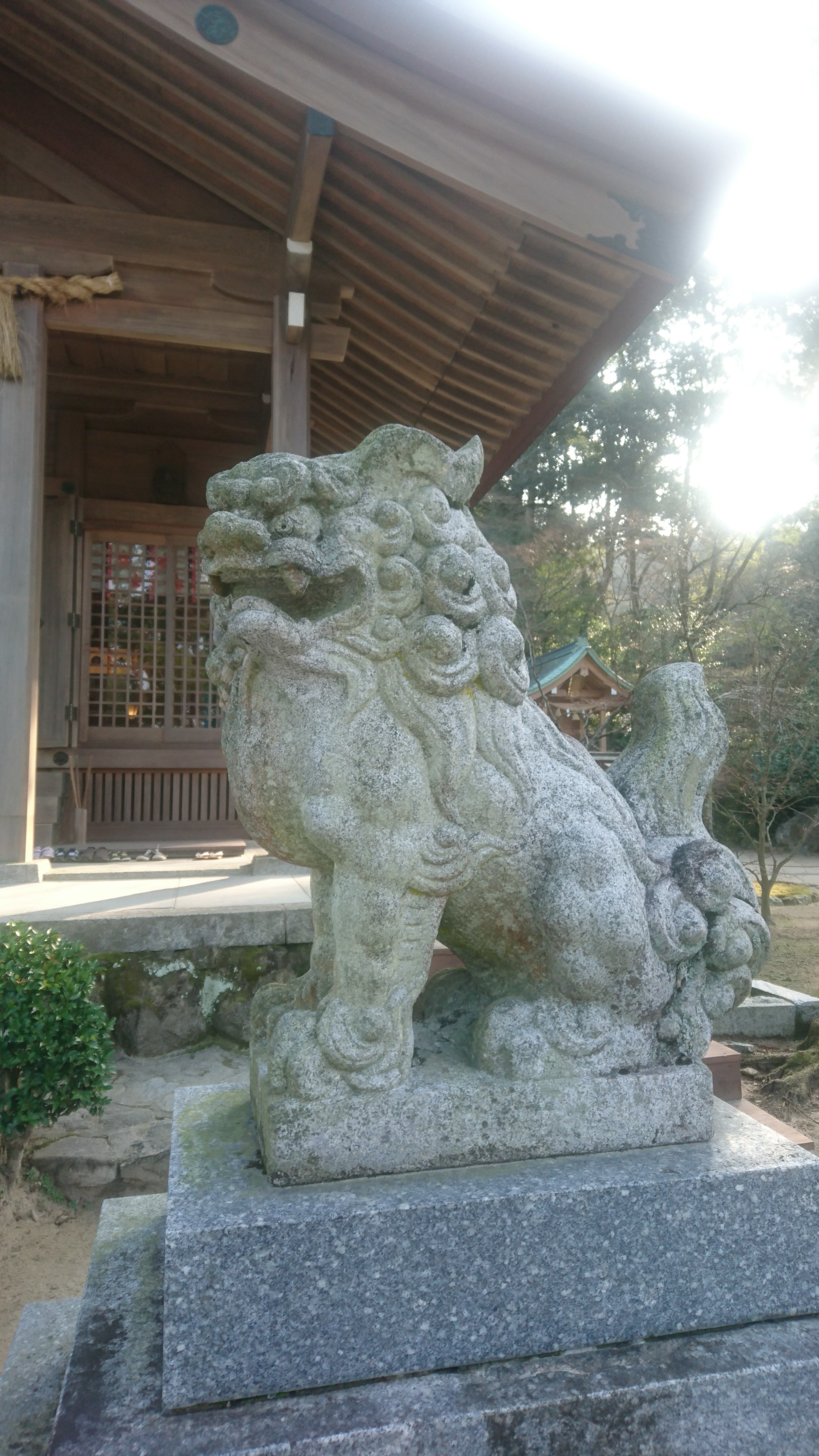 宝満山年２回目 羅漢道 けーむさんの宝満山 三郡山 若杉山の活動日記 Yamap ヤマップ