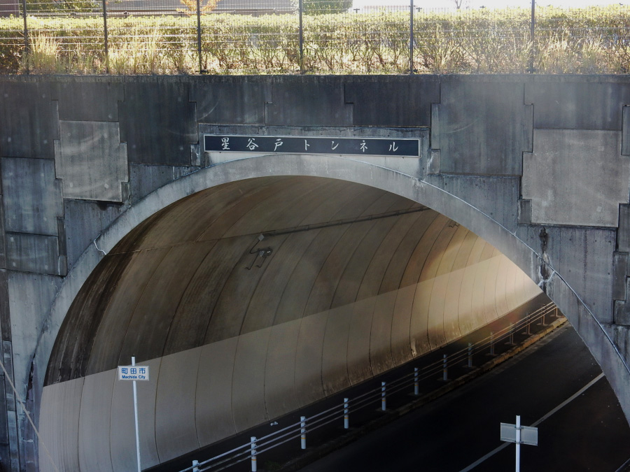 町田市尾根緑道 戦車道路 ゴメサンさんの町田市の活動日記 Yamap ヤマップ