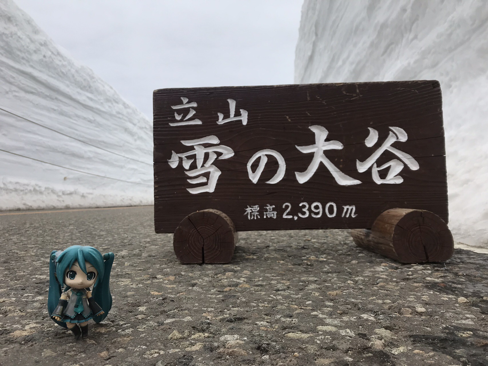 雷鳥沢キャンプ場で雪山テント泊デビュー ついでに別山 立山三山縦走 ミクと登る日本の山 ナガミーさんの立山 雄山 浄土山の活動日記 Yamap ヤマップ
