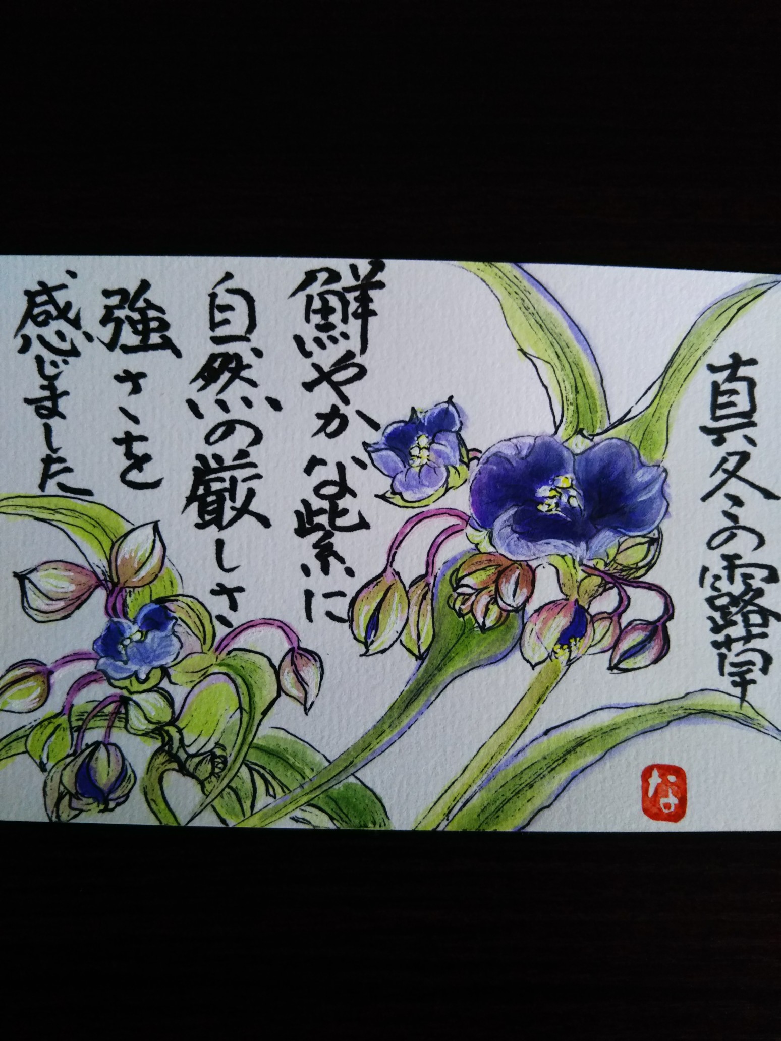 てんぐの小径 おんりーゆー 19 12 29 自由人さんの矢倉岳の活動日記 Yamap ヤマップ