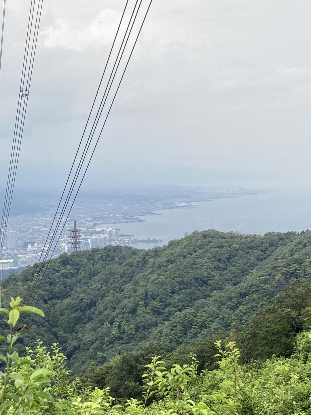 牛尾山ハイキング-2019-09-24 / ヤースケさんの音羽山・醍醐山の活動データ | YAMAP / ヤマップ