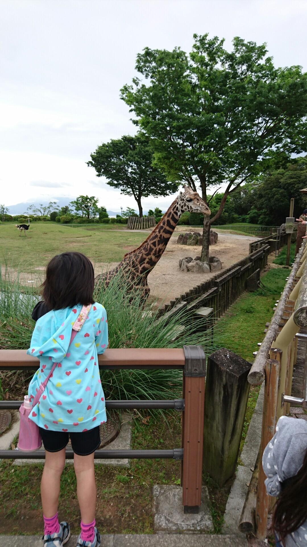 平川動物公園お散歩 まりさんの鹿児島市の活動日記 Yamap ヤマップ
