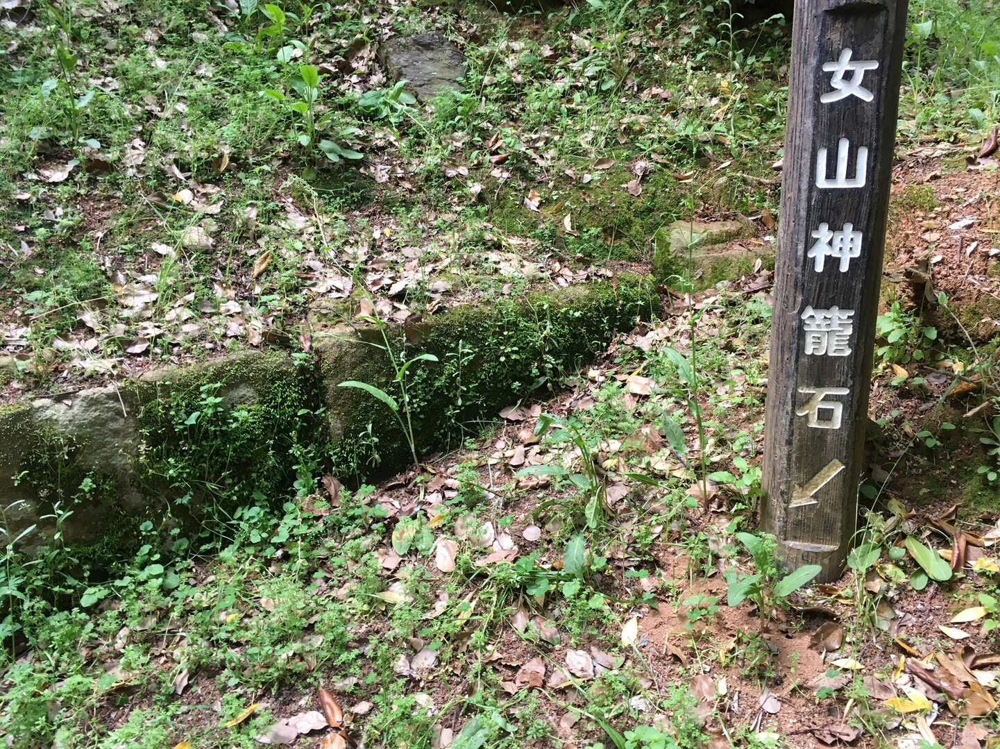 女山（ぞやま）神籠石  卑弥呼の里？