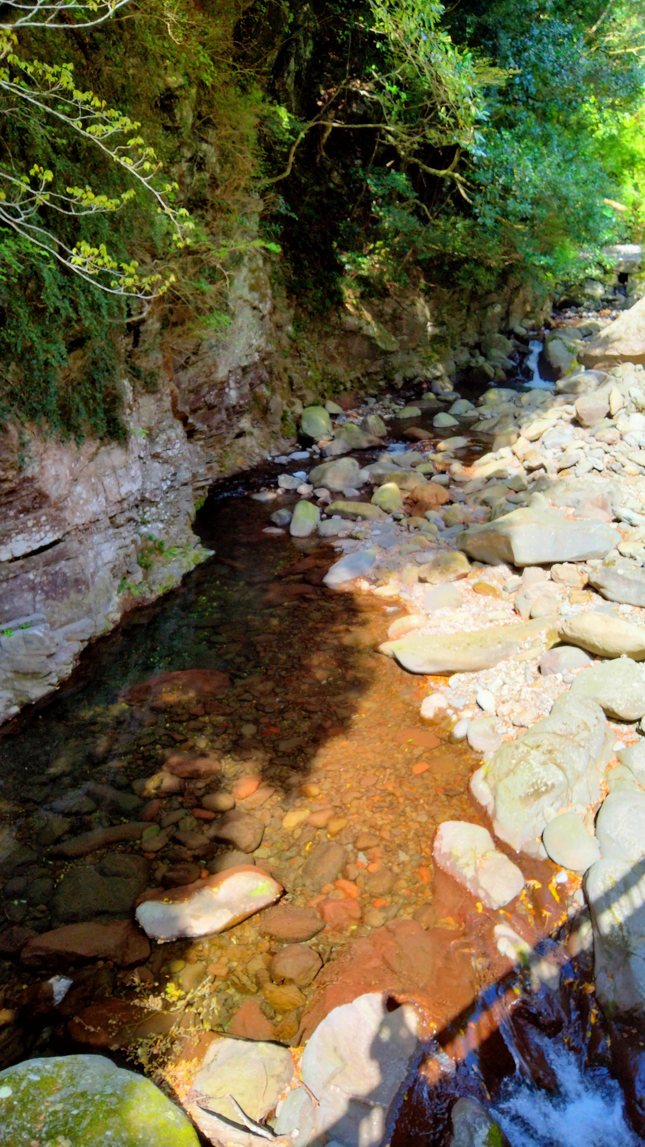 こんなんじゃ傾山 は無理 たか 孤高のソロッパー さんの登山の活動日記 Yamap ヤマップ