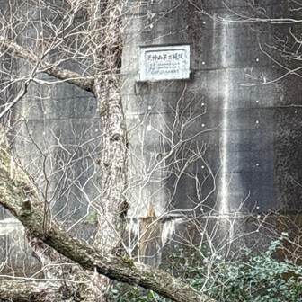 六甲山・長峰山・摩耶山 一番最初の堰堤は荒神山第二堰堤
右を巻きます➡️