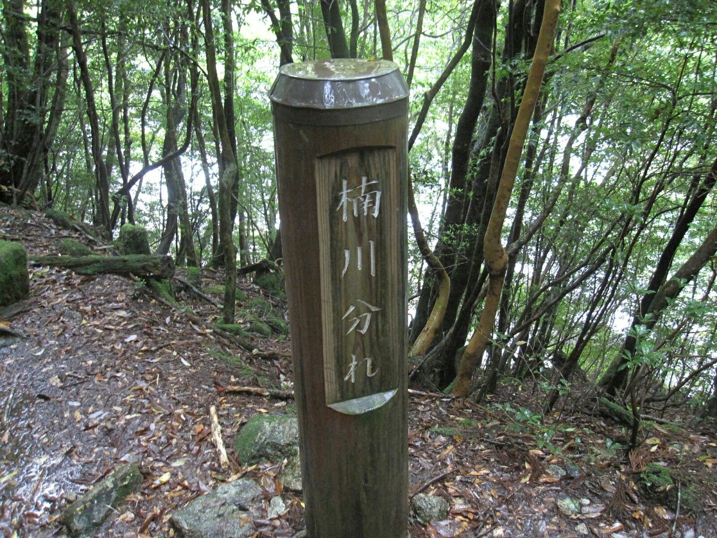 念願の屋久島へ 荒川登山口 縄文杉 白谷雲水峡 たびとれさんの屋久島 宮之浦岳の活動日記 Yamap ヤマップ