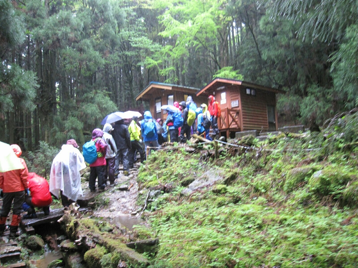 念願の屋久島へ 荒川登山口 縄文杉 白谷雲水峡 たびとれさんの屋久島 宮之浦岳の活動日記 Yamap ヤマップ