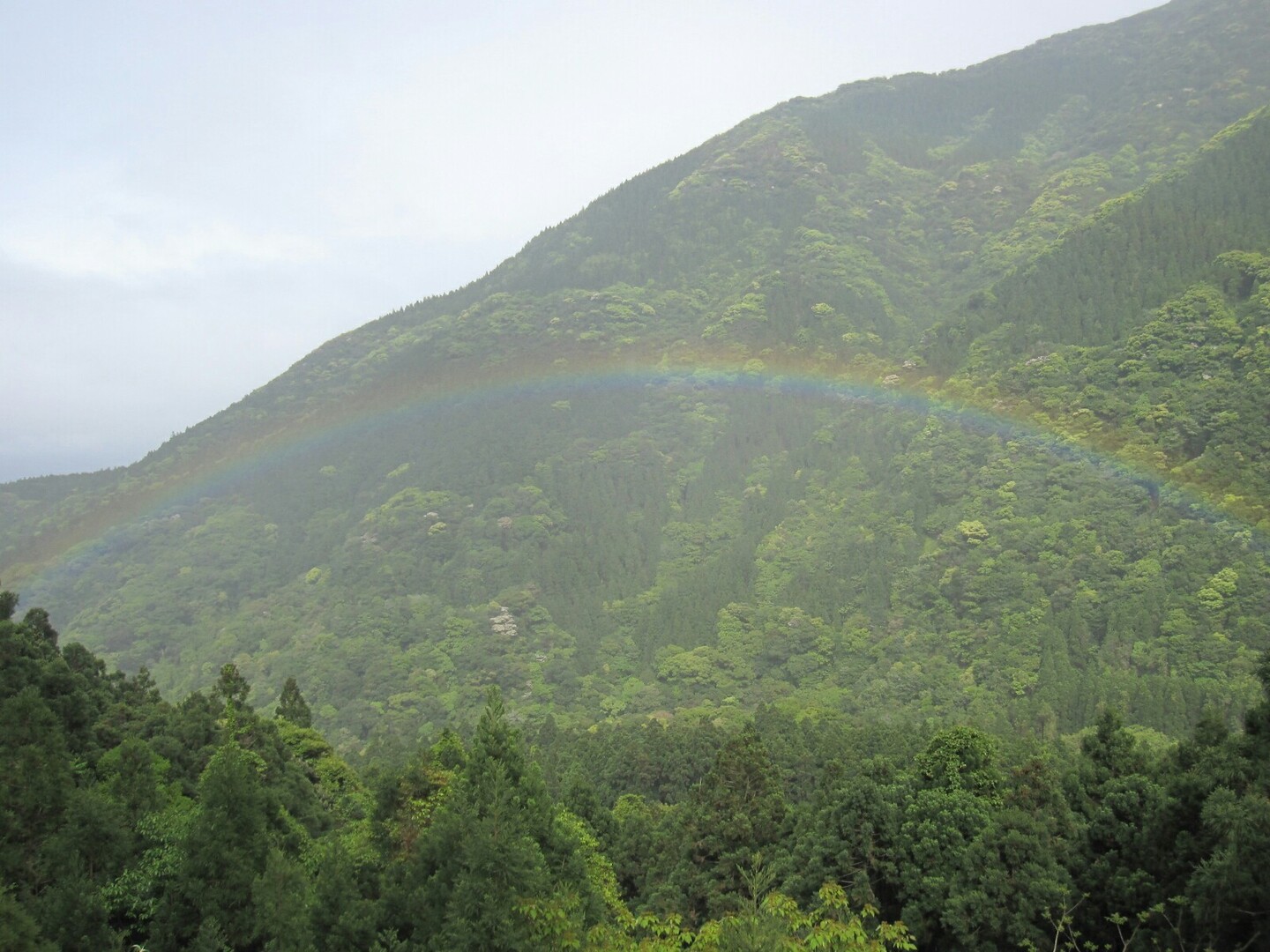 念願の屋久島へ 荒川登山口 縄文杉 白谷雲水峡 たびとれさんの屋久島 宮之浦岳の活動日記 Yamap ヤマップ
