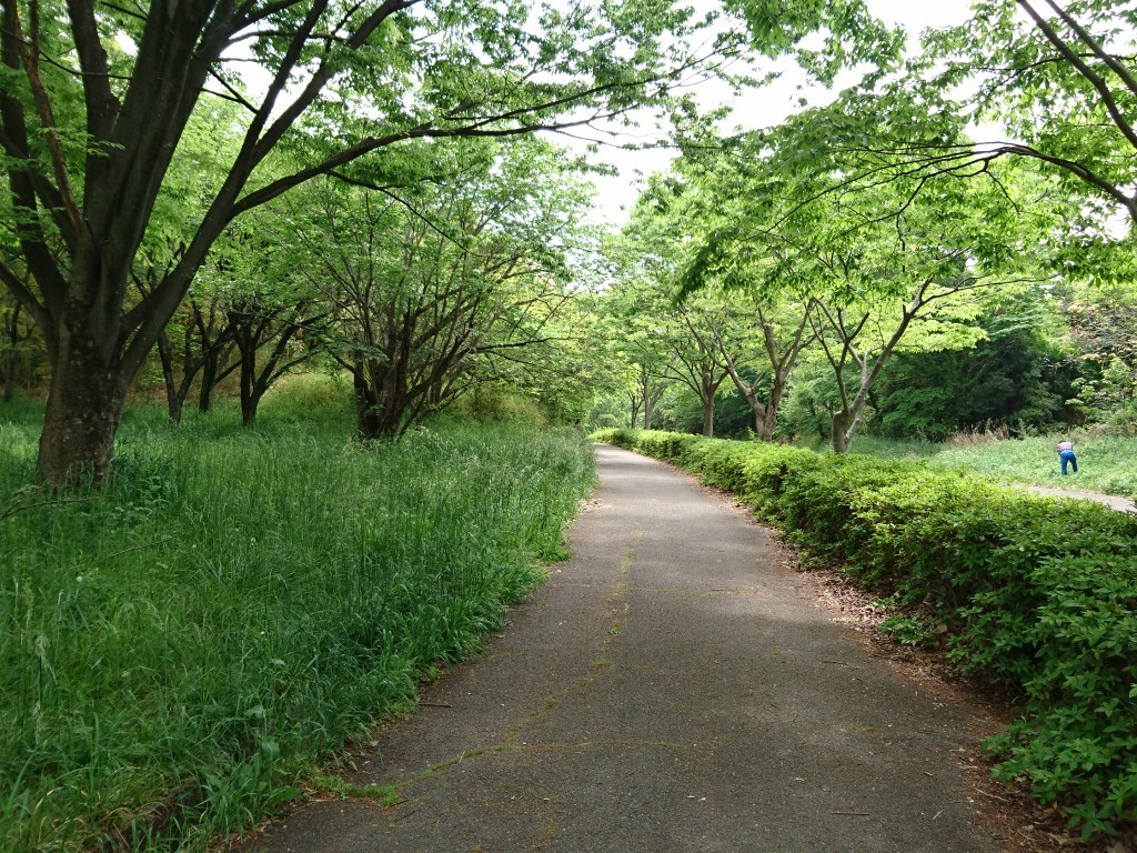 笠寺公園 大高緑地 駅ちかウォーキング Prius7936さんの名古屋市の活動データ Yamap ヤマップ