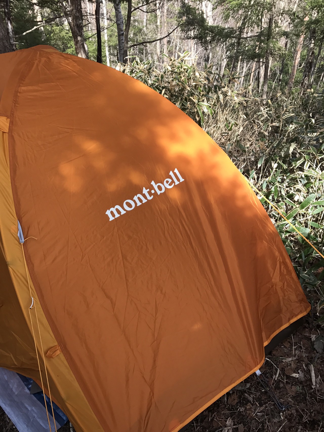 2泊3日 雁坂峠 西沢渓谷 水晶山 雁坂峠 雁坂小屋 みのりさんの甲武信ヶ岳の活動日記 Yamap ヤマップ