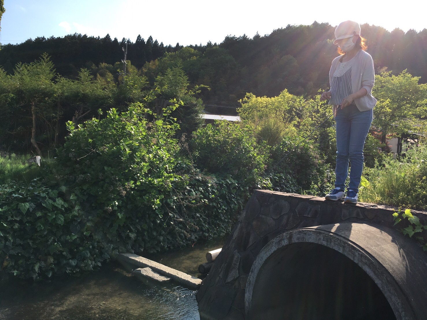 タナゴ釣り Ma0429kiさんの行者山 亀岡市 の活動日記 Yamap ヤマップ