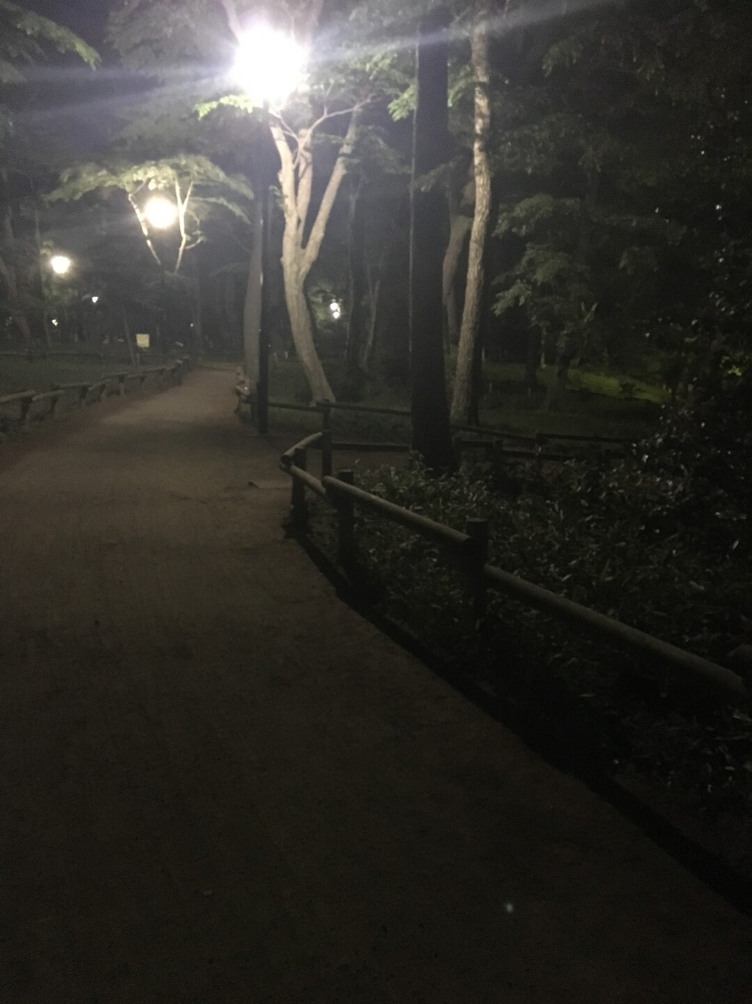 夜の井の頭公園見廻り しょうちゃんさんの東京都23区 西エリアの活動日記 Yamap ヤマップ