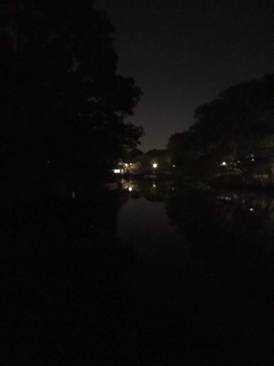夜の井の頭公園見廻り Yamap ヤマップ