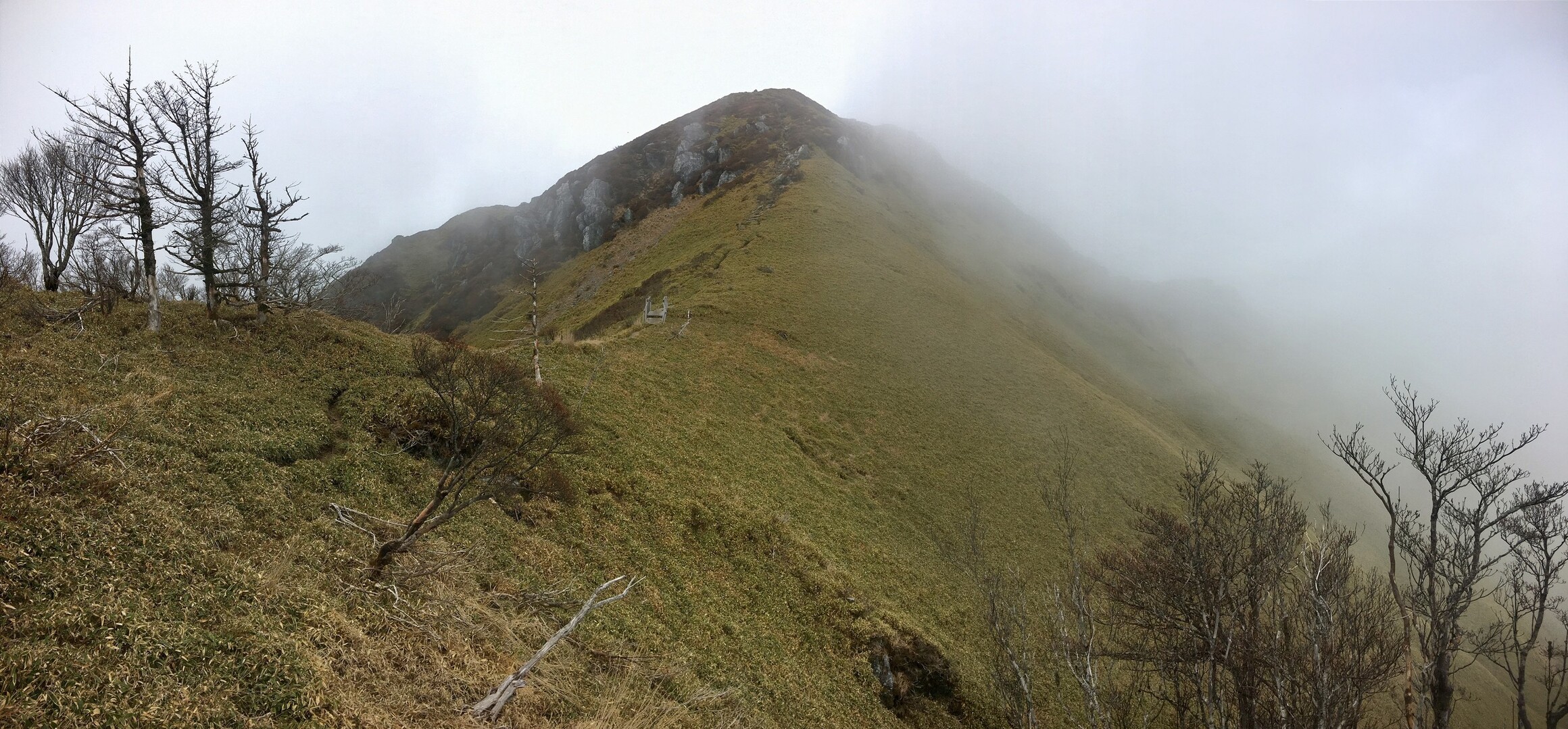 剣山〜三嶺、霧の縦走本番(^◇^;) / Hirarinさんの三嶺・天狗塚・石立山の活動データ | Yamap / ヤマップ