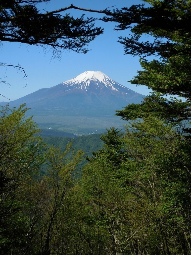 過去ログ 御正体山など富士山東側山域を44km縦走 Genkidさんの御正体山 杓子山 石割山の活動日記 Yamap ヤマップ