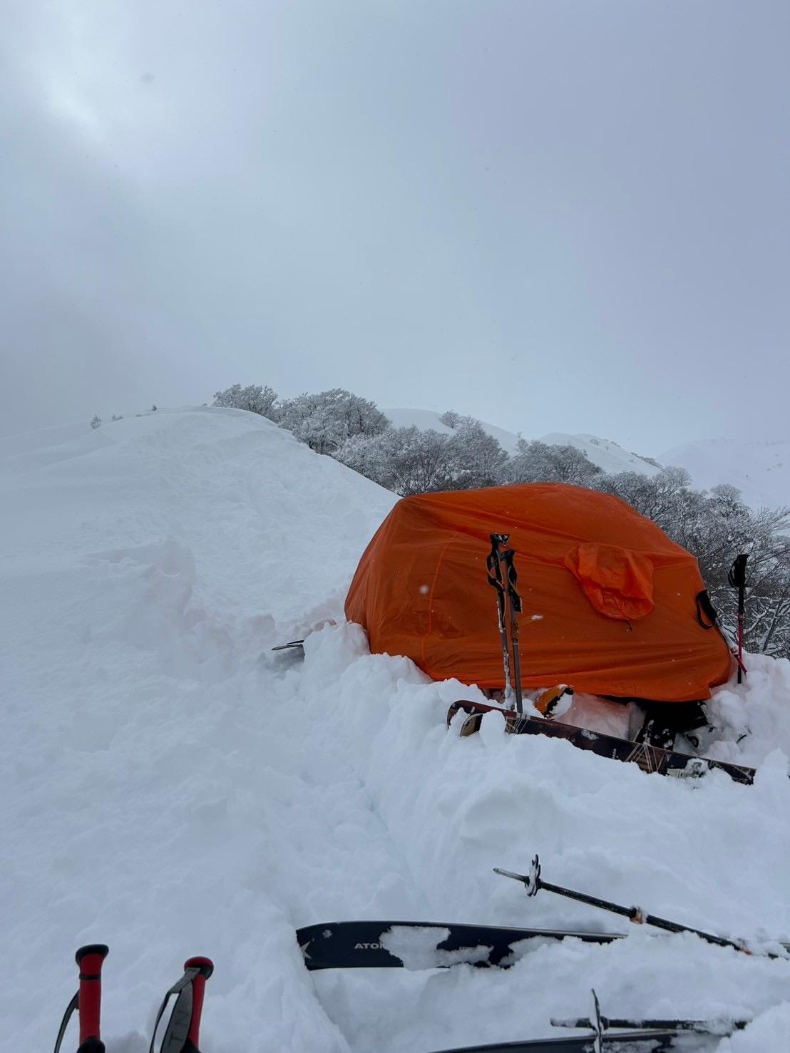 最近、ツェルトの代わりに持ち歩いてる「D / hrtさんの