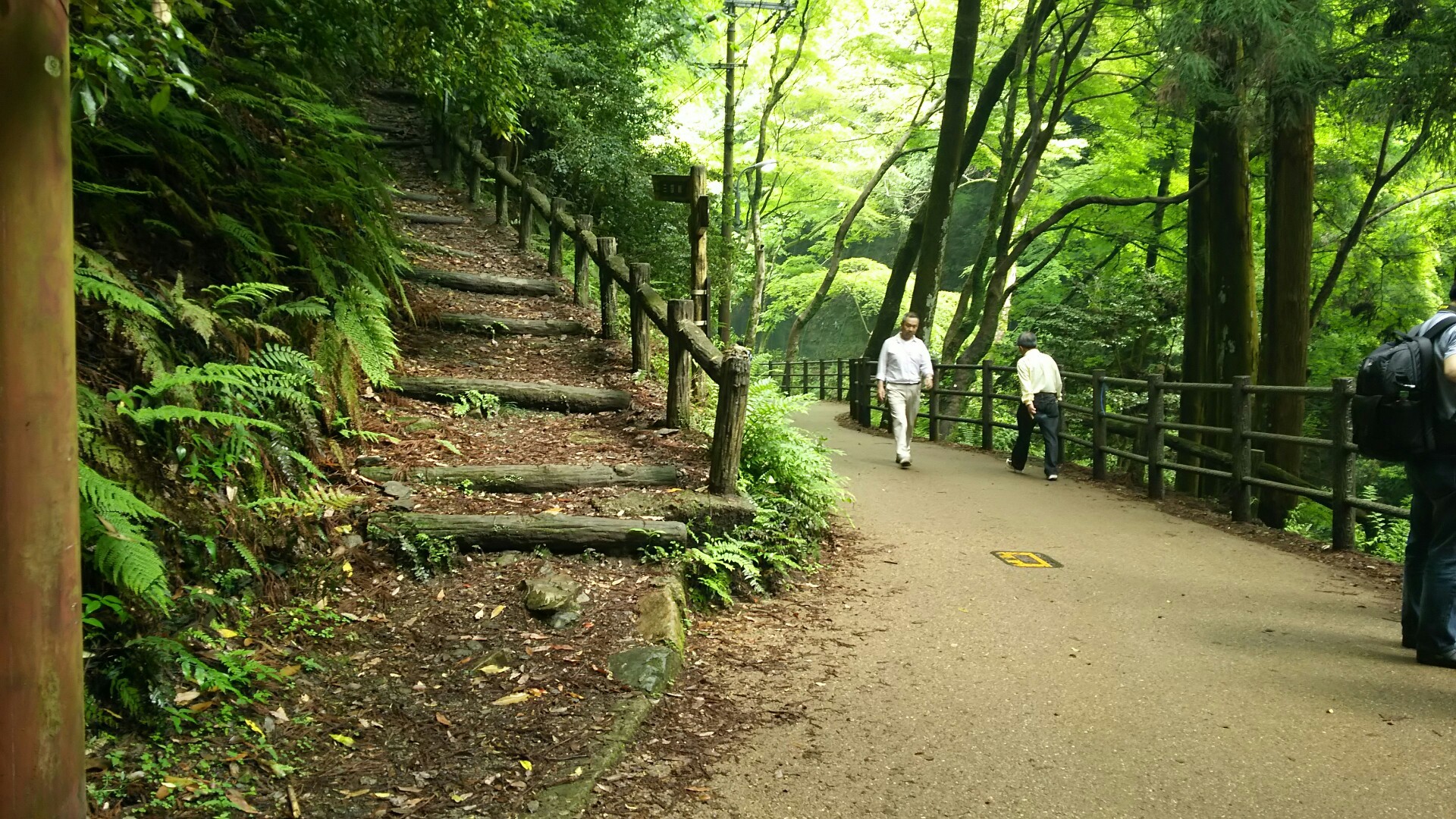 ｊ 三国峠 六個山 箕面駅 滝道 石子詰 箕面山 三国峠 十二曲がり ようらく台園地 五月山ドライブウエィ 箕面ゴルフ側道 六個山 西尾根コース 山麓線 箕面駅 やゆさんの六個山 鉢伏山 明ヶ田尾山 五月山の活動日記 Yamap ヤマップ