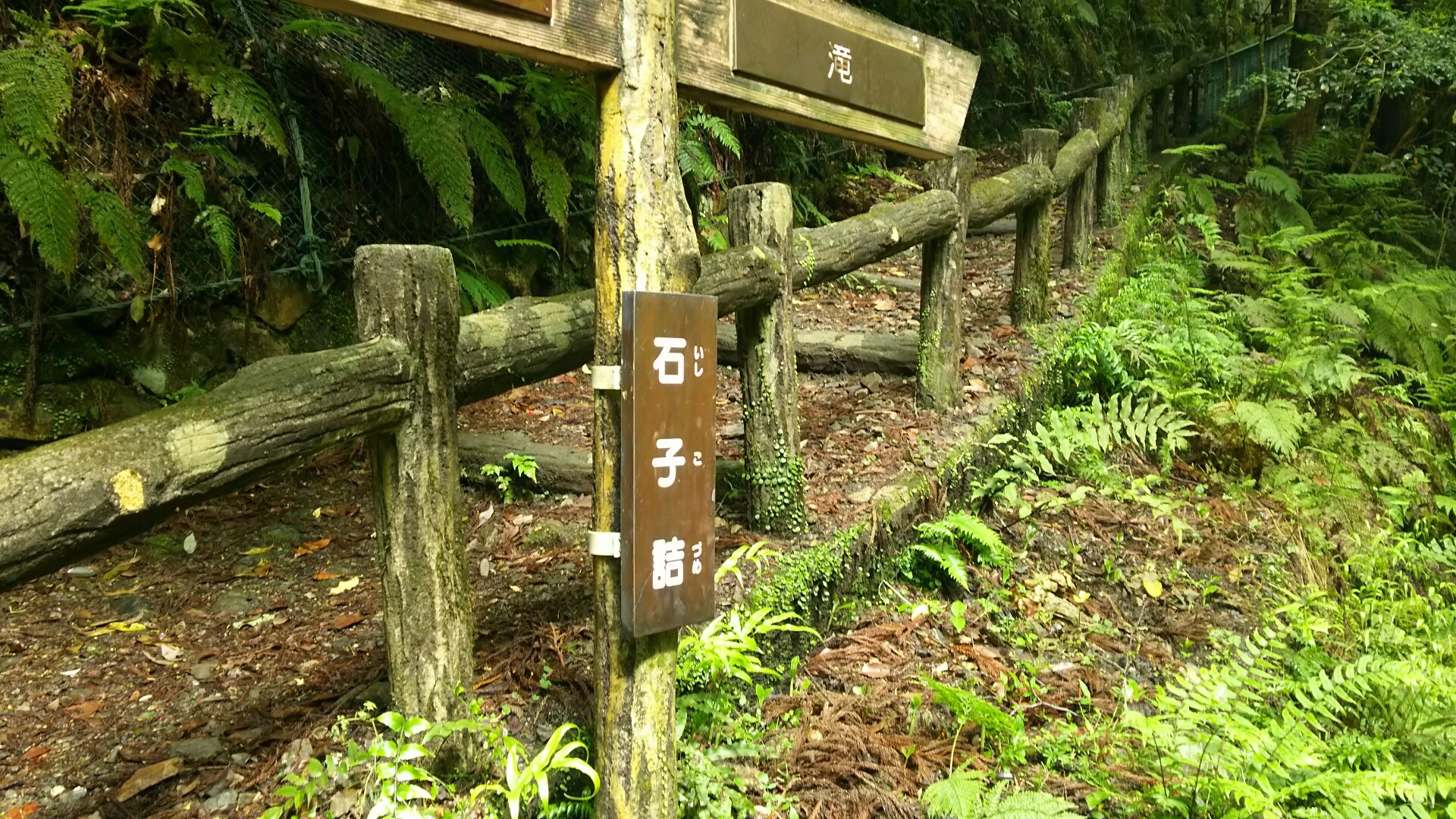 ｊ 三国峠 六個山 箕面駅 滝道 石子詰 箕面山 三国峠 十二曲がり ようらく台園地 五月山ドライブウエィ 箕面ゴルフ側道 六個山 西尾根コース 山麓線 箕面駅 やゆさんの六個山 鉢伏山 明ヶ田尾山 五月山の活動日記 Yamap ヤマップ
