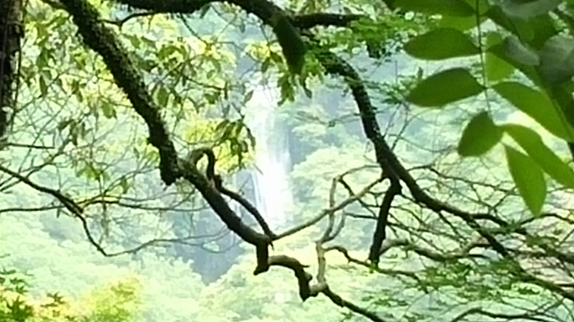 ｊ 三国峠 六個山 箕面駅 滝道 石子詰 箕面山 三国峠 十二曲がり ようらく台園地 五月山ドライブウエィ 箕面ゴルフ側道 六個山 西尾根コース 山麓線 箕面駅 やゆさんの六個山 鉢伏山 明ヶ田尾山 五月山の活動日記 Yamap ヤマップ