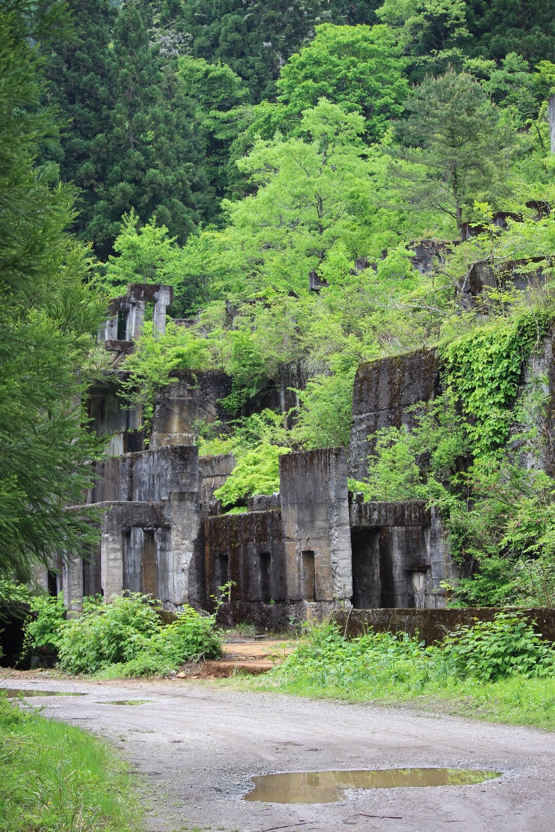 滋賀の廃墟 土倉鉱山跡 金糞岳の写真5枚目 ドーン Yamap ヤマップ